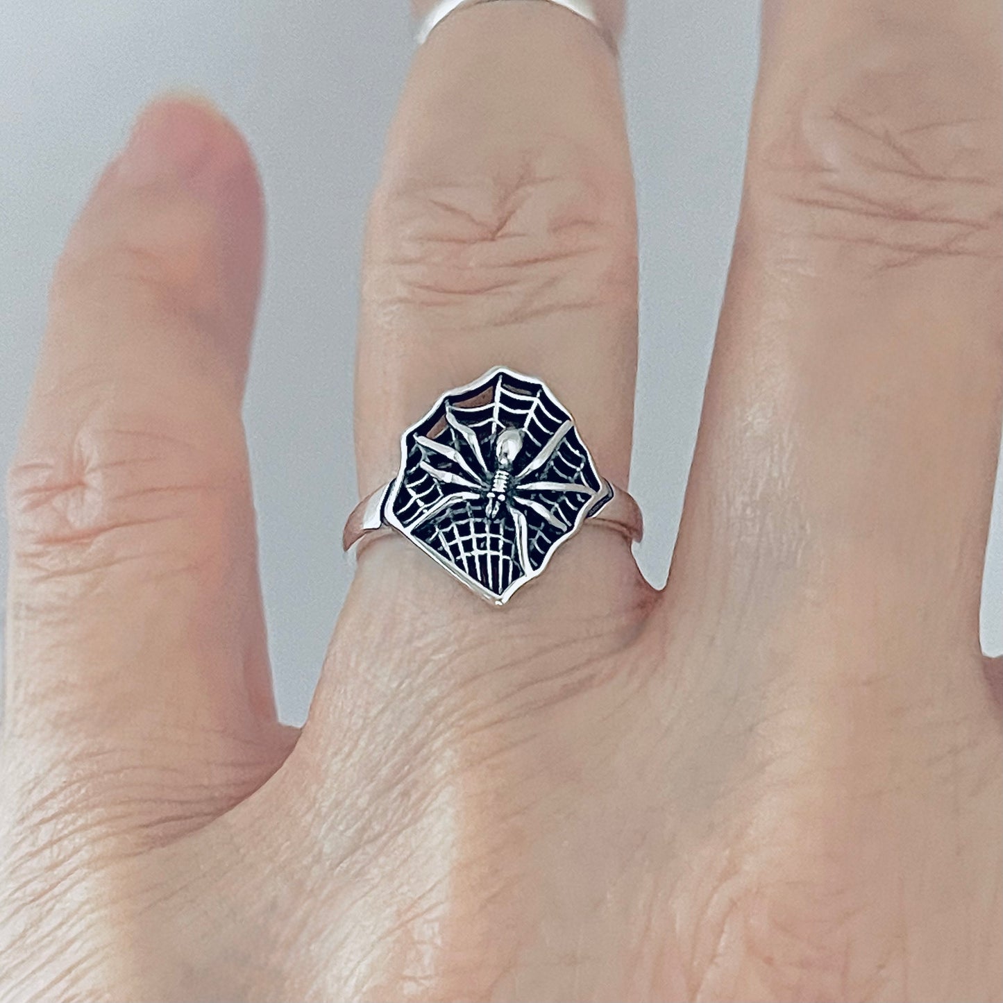 Sterling Silver Spiderweb Ring, Spider Ring, Bug Rings, Insect Bugs, Webs
