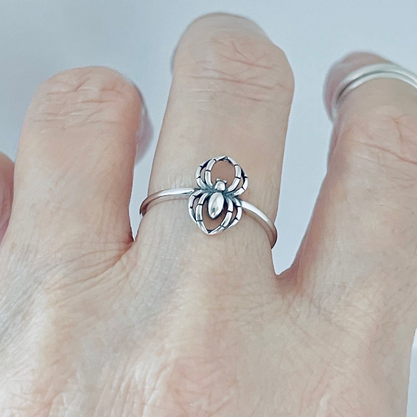 Sterling Silver Small Spider Ring, Spiderweb, Bug Rings, Insect Bugs, Spiders