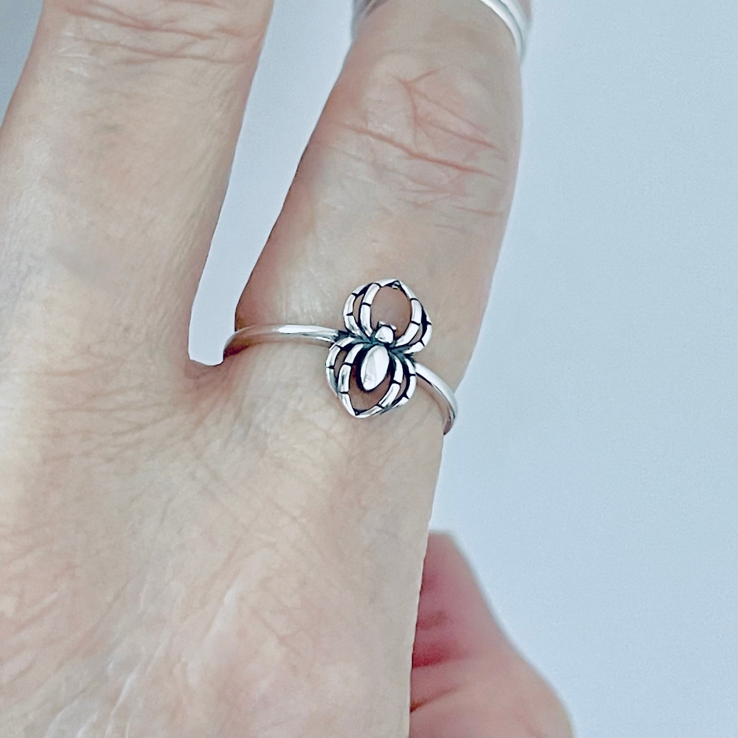 Sterling Silver Small Spider Ring, Spiderweb, Bug Rings, Insect Bugs, Spiders