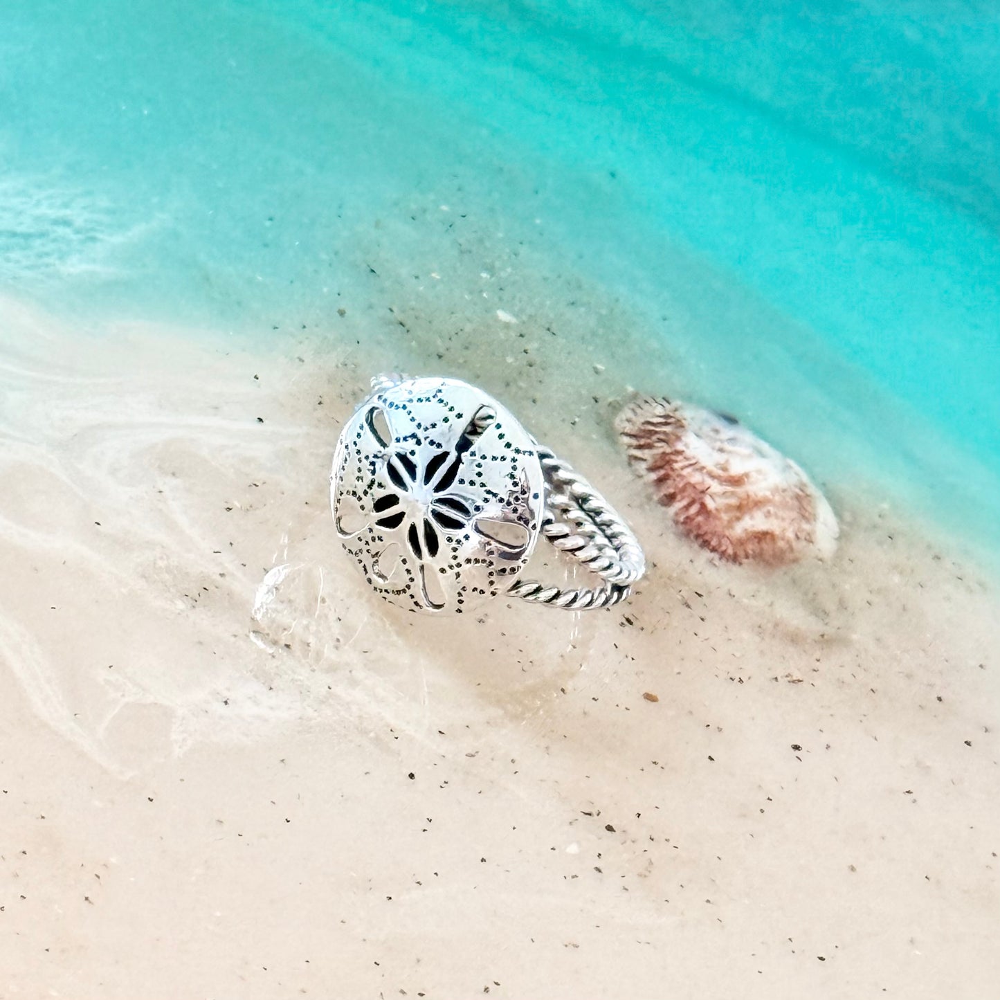 Sterling Silver Large Sand Dollar Ring with Rope Band, Star Ring, Silver Rings, Seashell, Ocean Shells