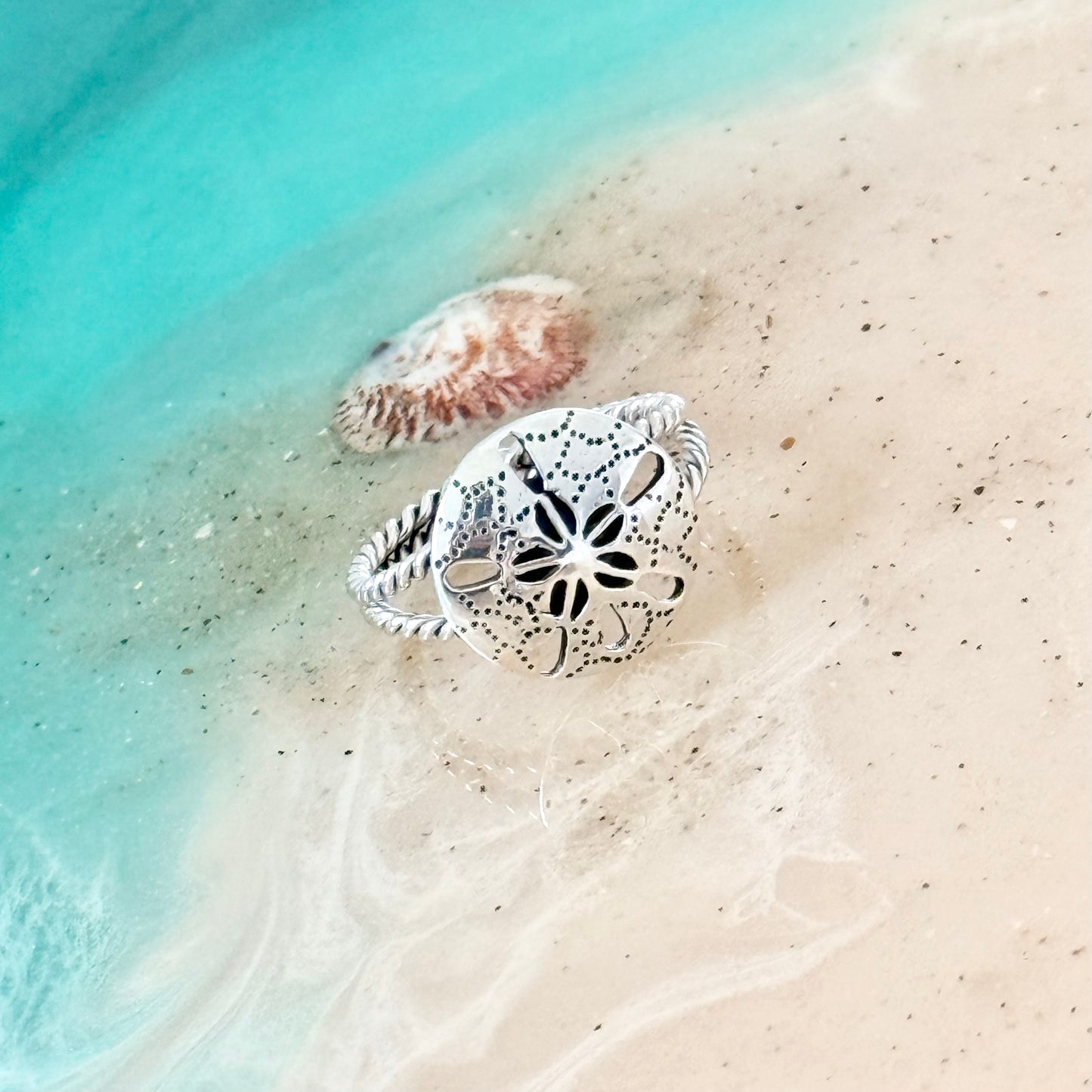 Sterling Silver Large Sand Dollar Ring with Rope Band, Star Ring, Silver Rings, Seashell, Ocean Shells