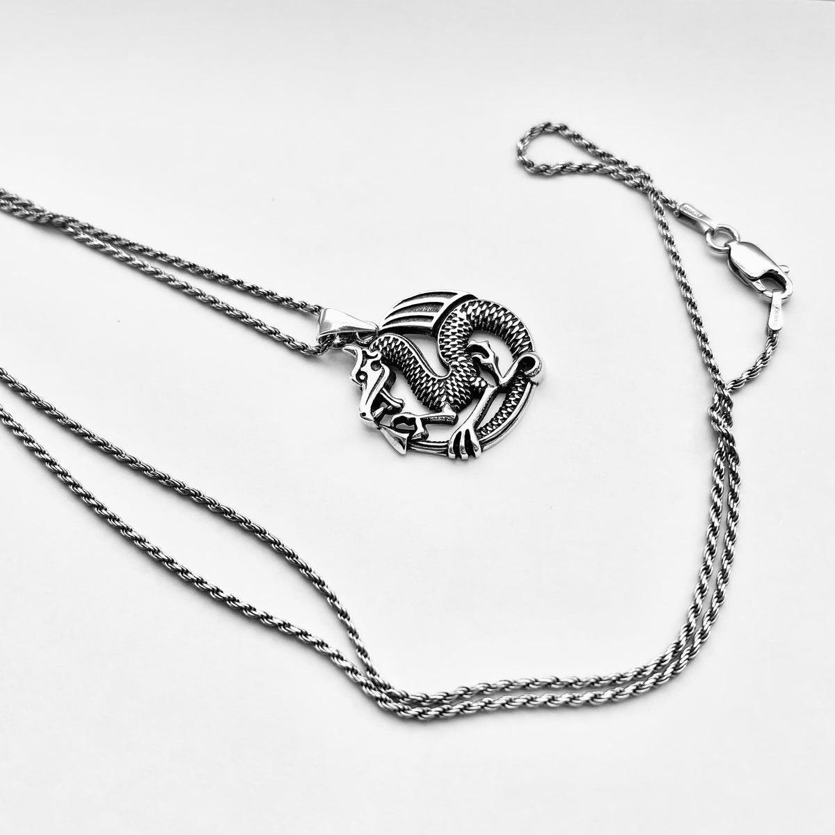 925 Sterling Silver Dragon Necklace | Unisex Serpentine Creature Pendant Chain